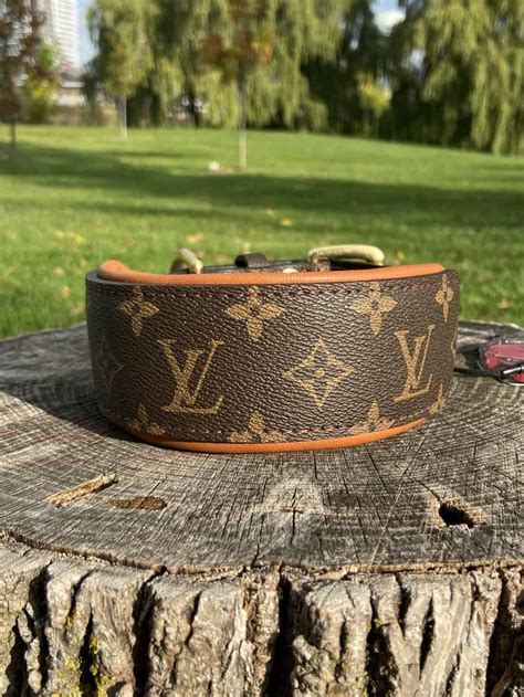 louis vuitton xs dog collar|Louis Vuitton dog bandana.